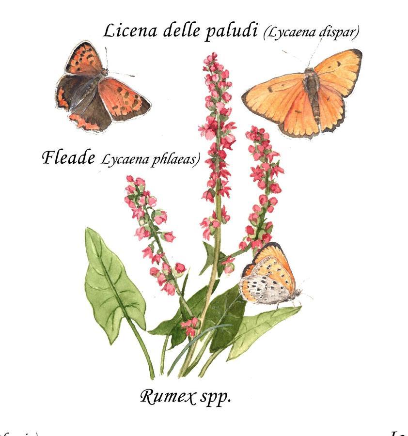 Cascina Lai - Oasi Naturalistica - Camere Private Santena Extérieur photo